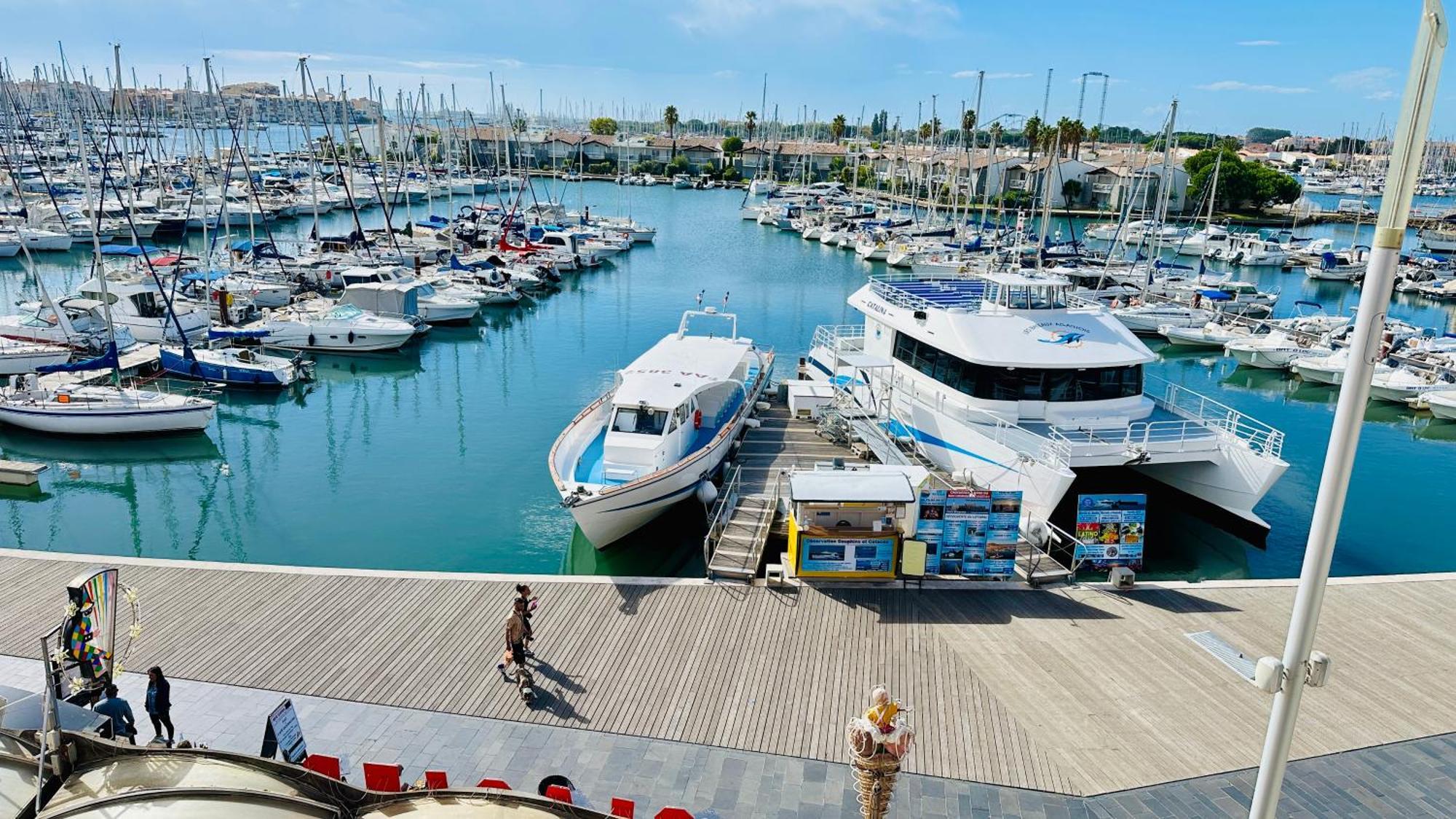 Studio Face Au Port Agde Dış mekan fotoğraf